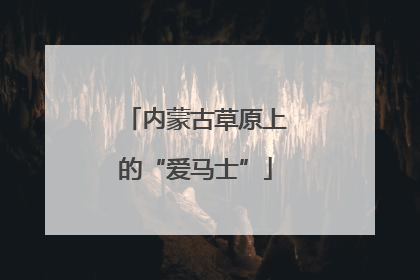 内蒙古草原上的“爱马士”
