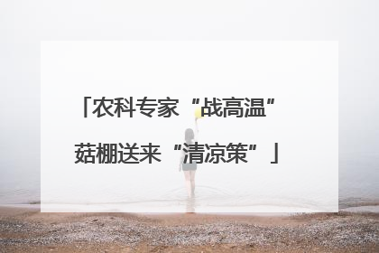 农科专家“战高温” 菇棚送来“清凉策”