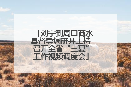 刘宁到周口商水县督导调研并主持召开全省“三夏”工作视频调度会