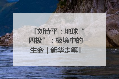 刘诗平：地球“四极”：极境中的生命｜新华走笔