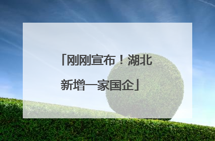 刚刚宣布！湖北新增一家国企