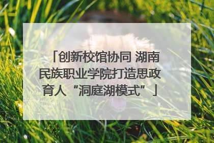 创新校馆协同 湖南民族职业学院打造思政育人“洞庭湖模式”