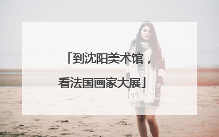 到沈阳美术馆，看法国画家大展