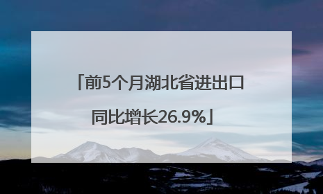 前5个月湖北省进出口同比增长26.9%