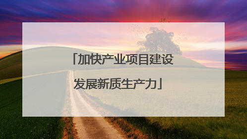 加快产业项目建设 发展新质生产力
