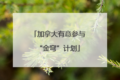 加拿大有意参与“金穹”计划