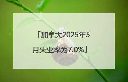 加拿大2025年5月失业率为7.0%