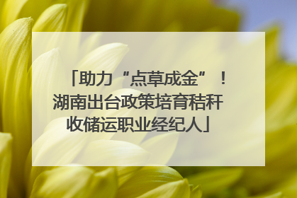 助力“点草成金”！湖南出台政策培育秸秆收储运职业经纪人