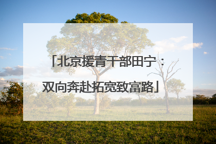 北京援青干部田宁：双向奔赴拓宽致富路