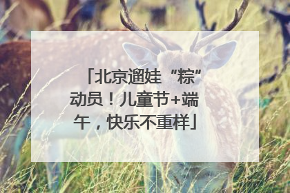 北京遛娃“粽”动员！儿童节+端午，快乐不重样