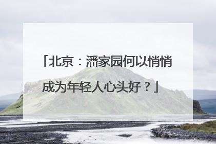 北京：潘家园何以悄悄成为年轻人心头好？