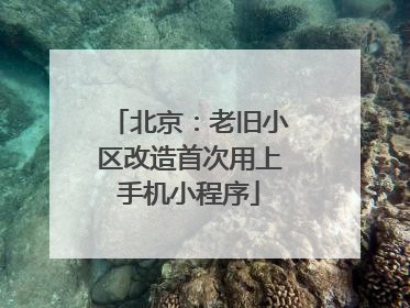 北京：老旧小区改造首次用上手机小程序