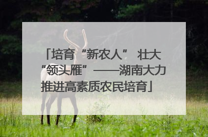 培育“新农人” 壮大“领头雁”——湖南大力推进高素质农民培育