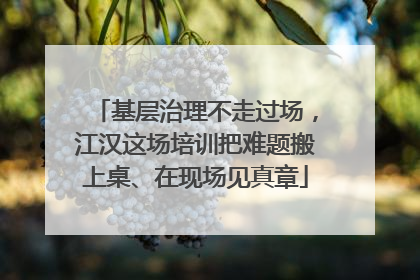 基层治理不走过场，江汉这场培训把难题搬上桌、在现场见真章