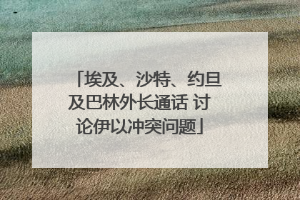 埃及、沙特、约旦及巴林外长通话 讨论伊以冲突问题