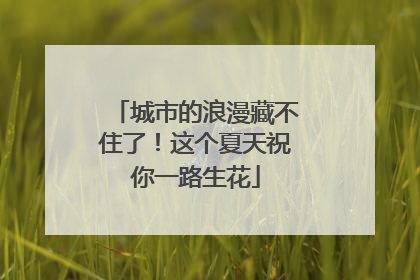 城市的浪漫藏不住了！这个夏天祝你一路生花