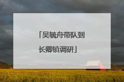 吴毓舟带队到长卿镇调研