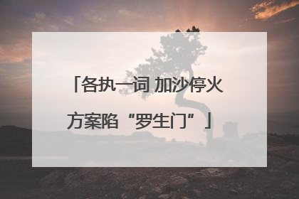 各执一词 加沙停火方案陷“罗生门”