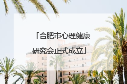 合肥市心理健康研究会正式成立