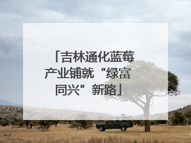 吉林通化蓝莓产业铺就“绿富同兴”新路