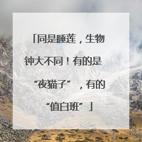 同是睡莲，生物钟大不同！有的是“夜猫子”，有的“值白班”