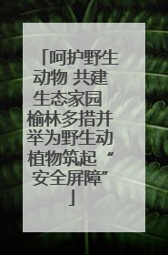 呵护野生动物 共建生态家园 榆林多措并举为野生动植物筑起“安全屏障”