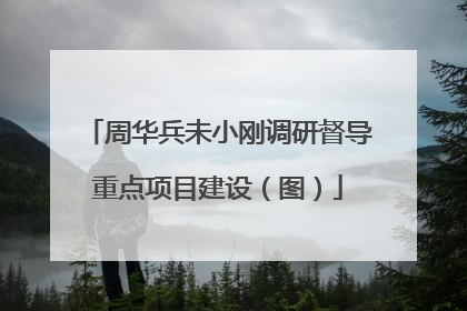 周华兵未小刚调研督导重点项目建设（图）