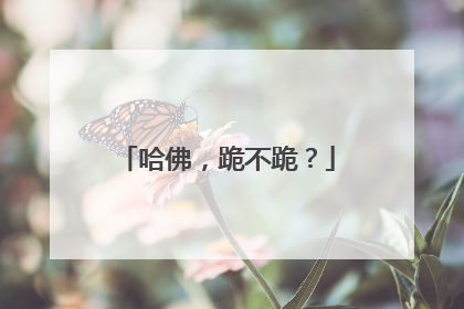 哈佛，跪不跪？