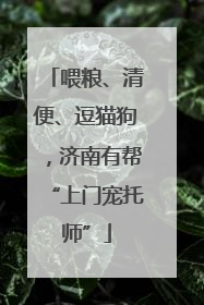 喂粮、清便、逗猫狗，济南有帮“上门宠托师”