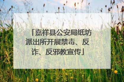 嘉祥县公安局纸坊派出所开展禁毒、反诈、反邪教宣传