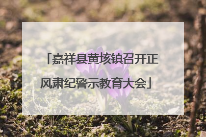 嘉祥县黄垓镇召开正风肃纪警示教育大会