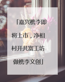 嘉兴槜李即将上市，净相村开共富工坊做槜李文创