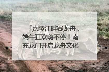 嘉陵江畔赛龙舟，端午狂欢嗨不停！南充龙门开启龙舟文化盛宴｜镜观四川