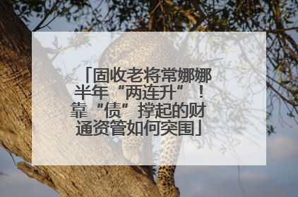 固收老将常娜娜半年“两连升”！靠“债”撑起的财通资管如何突围