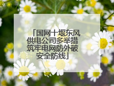 国网十堰东风供电公司多举措筑牢电网防外破安全防线