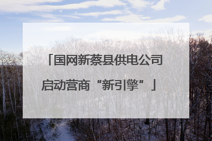 国网新蔡县供电公司启动营商“新引擎”