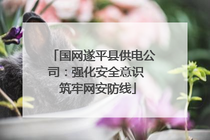 国网遂平县供电公司：强化安全意识 筑牢网安防线