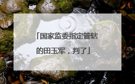 国家监委指定管辖的田玉军，判了