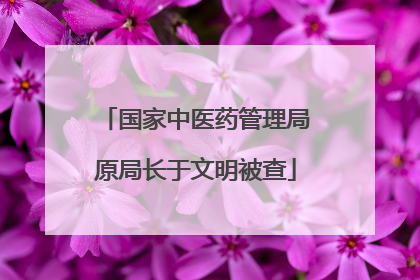 国家中医药管理局原局长于文明被查