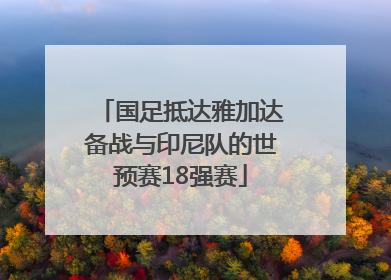 国足抵达雅加达备战与印尼队的世预赛18强赛