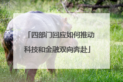 四部门回应如何推动科技和金融双向奔赴