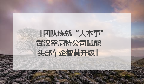 团队练就“大本事” 武汉霍尼特公司赋能头部车企智慧升级