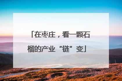 在枣庄，看一颗石榴的产业“链”变