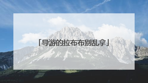 导游的拉布布别乱拿
