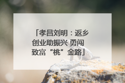孝昌刘明：返乡创业助振兴 勇闯致富“桃”金路