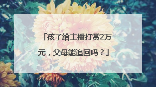 孩子给主播打赏2万元，父母能追回吗？