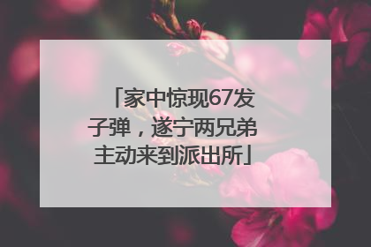 家中惊现67发子弹，遂宁两兄弟主动来到派出所