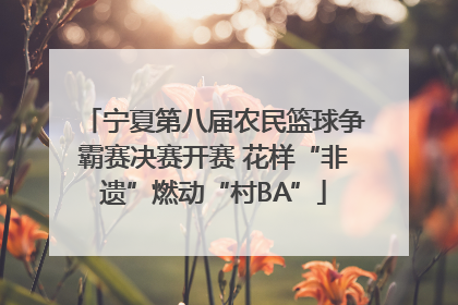 宁夏第八届农民篮球争霸赛决赛开赛 花样“非遗”燃动“村BA”