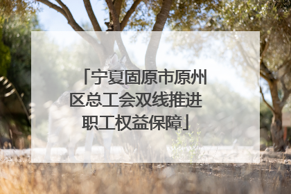 宁夏固原市原州区总工会双线推进职工权益保障