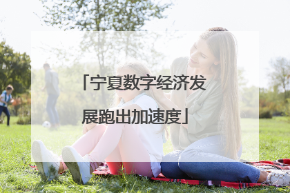 宁夏数字经济发展跑出加速度